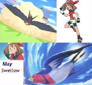 may swellow